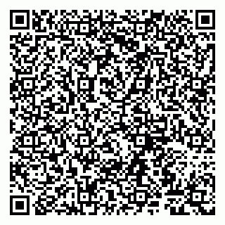 vCard 79807265331