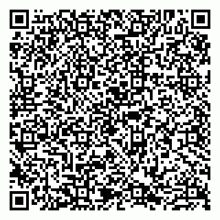 vCard 79807265379