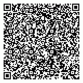 vCard 79807265385