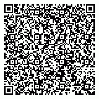 vCard 79807265387