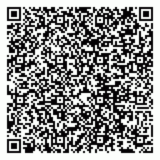 vCard 79807265389