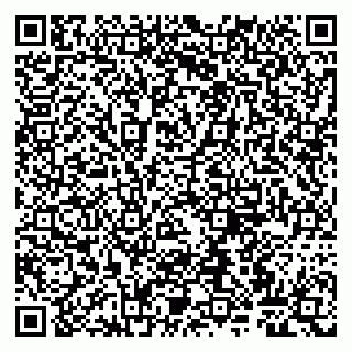 vCard 79807265393
