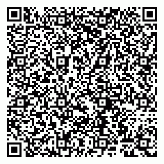 vCard 79807265400