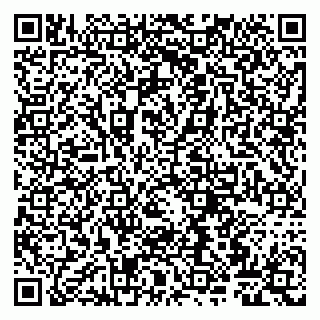 vCard 79807265407