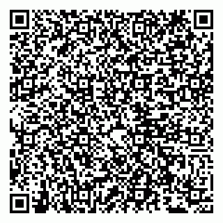 vCard 79807265409