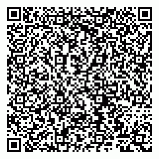 vCard 79807265411