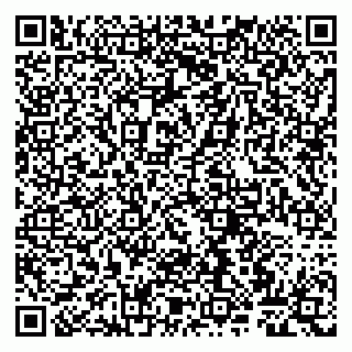vCard 79807265420