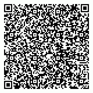 vCard 79807265536