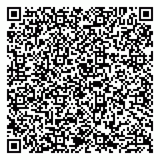 vCard 79807265581