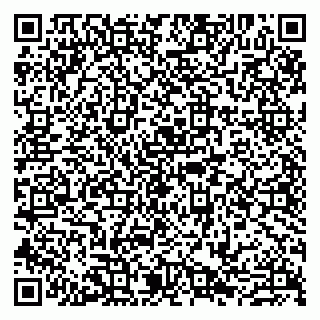 vCard 79807265728