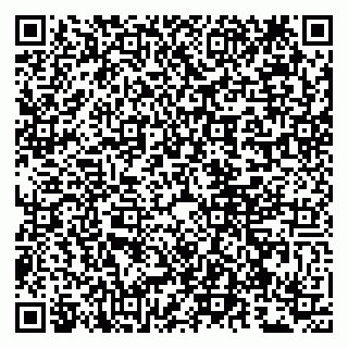 vCard 79807265791
