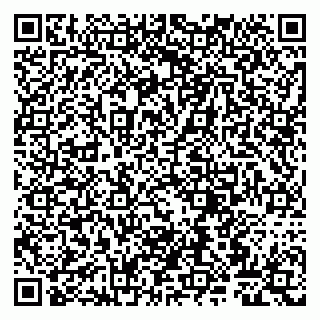 vCard 79807265913