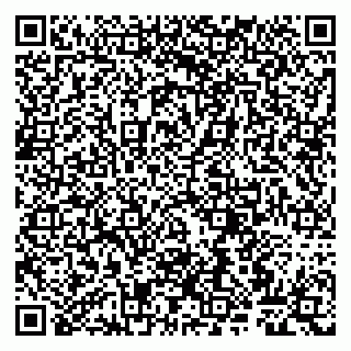vCard 79807265937