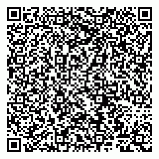 vCard 79807266037
