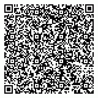 vCard 79807266267