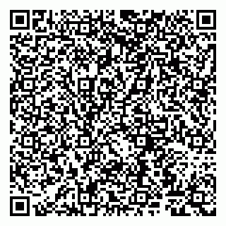 vCard 79807266531