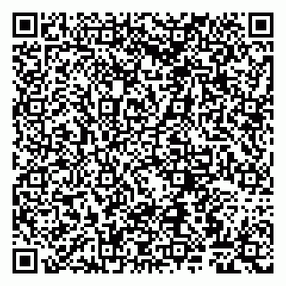 vCard 79807266533