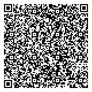 vCard 79807267295