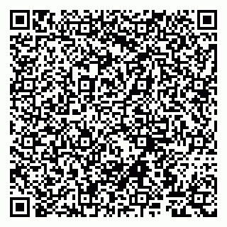 vCard 79807267297