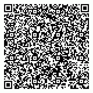 vCard 79807267379