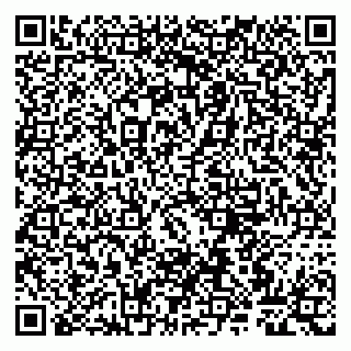 vCard 79807267381