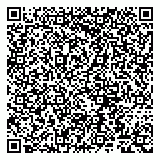 vCard 79807267382