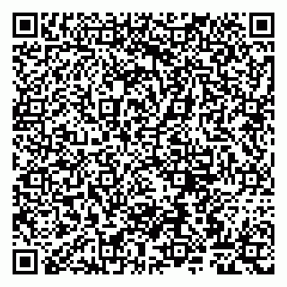 vCard 79807267384
