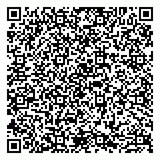 vCard 79807267385