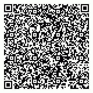 vCard 79807267387