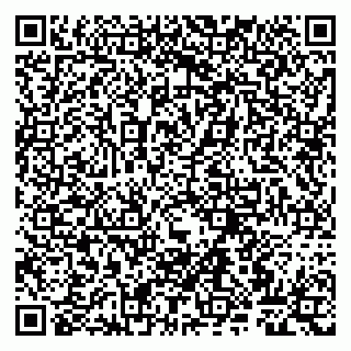 vCard 79807267400