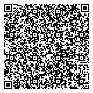 vCard 79807267408