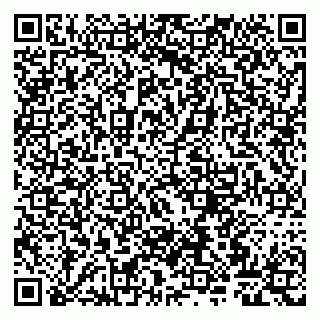 vCard 79807267500