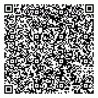 vCard 79807267631