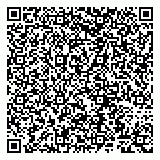 vCard 79807267633