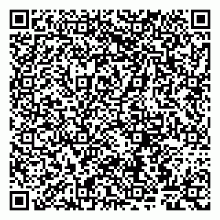 vCard 79807267704