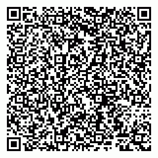 vCard 79807267713