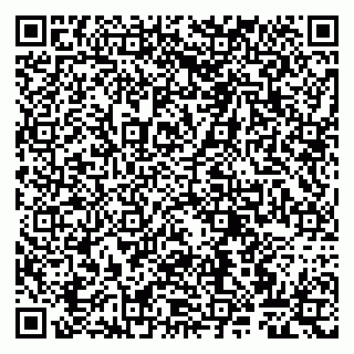 vCard 79807267803