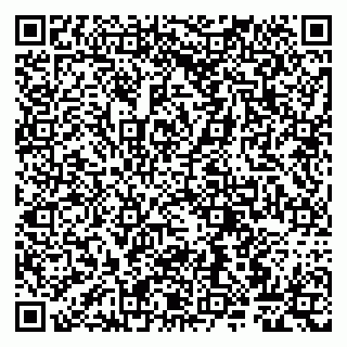 vCard 79807267804