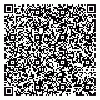 vCard 79807267812