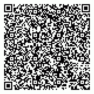 vCard 79807267879