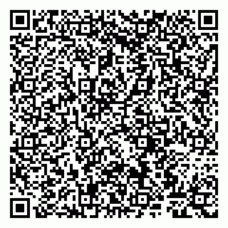 vCard 79807267905