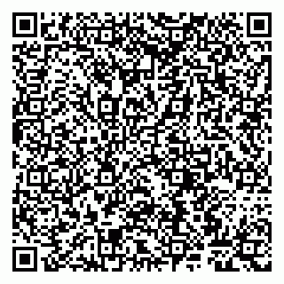 vCard 79807267916