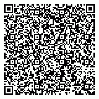 vCard 79807267931