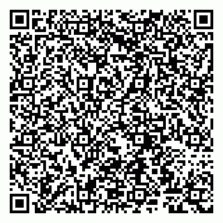 vCard 79807267933