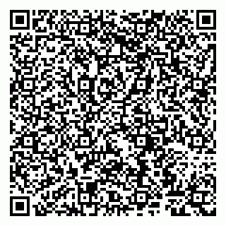 vCard 79807267935