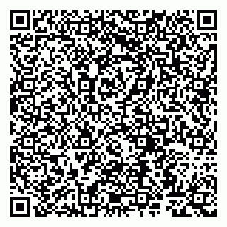 vCard 79807267939