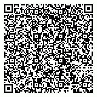 vCard 79807267940