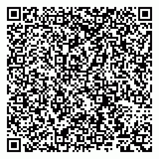 vCard 79807267968