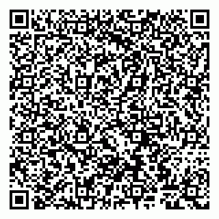 vCard 79807268096