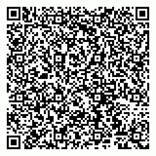 vCard 79807268173